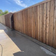 Beautiful-Cedar-Fence-Transformation-in-Mckinney-Tx 0